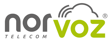 Logo norvoz